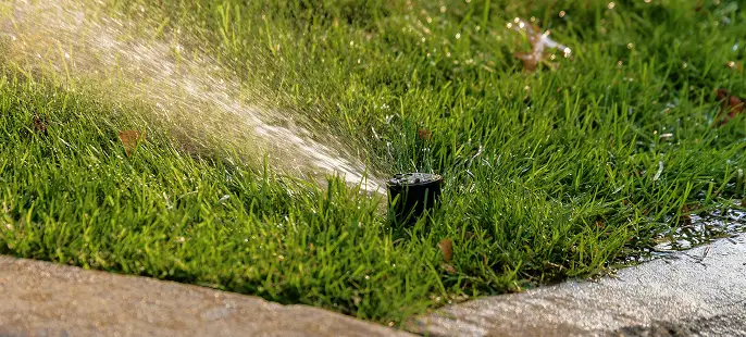 irrigation